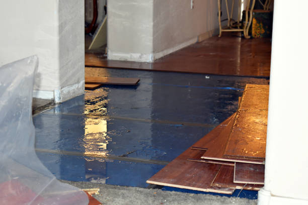 Professional Flood Cleanup technician working in Springfield, MA