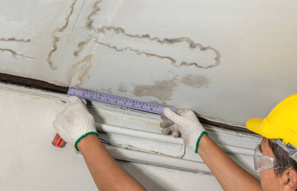 Reliable Flood Cleanup contractor in Springfield, MA by Water Damage Irwin